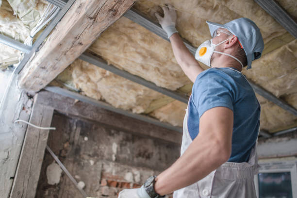 Best Insulation Maintenance and Repair in George Mason, VA