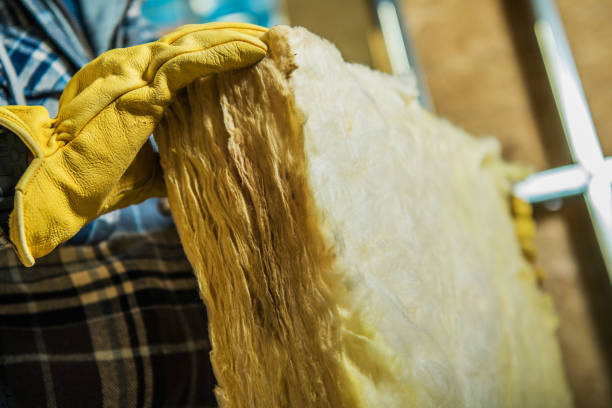 Best Commercial Insulation in George Mason, VA